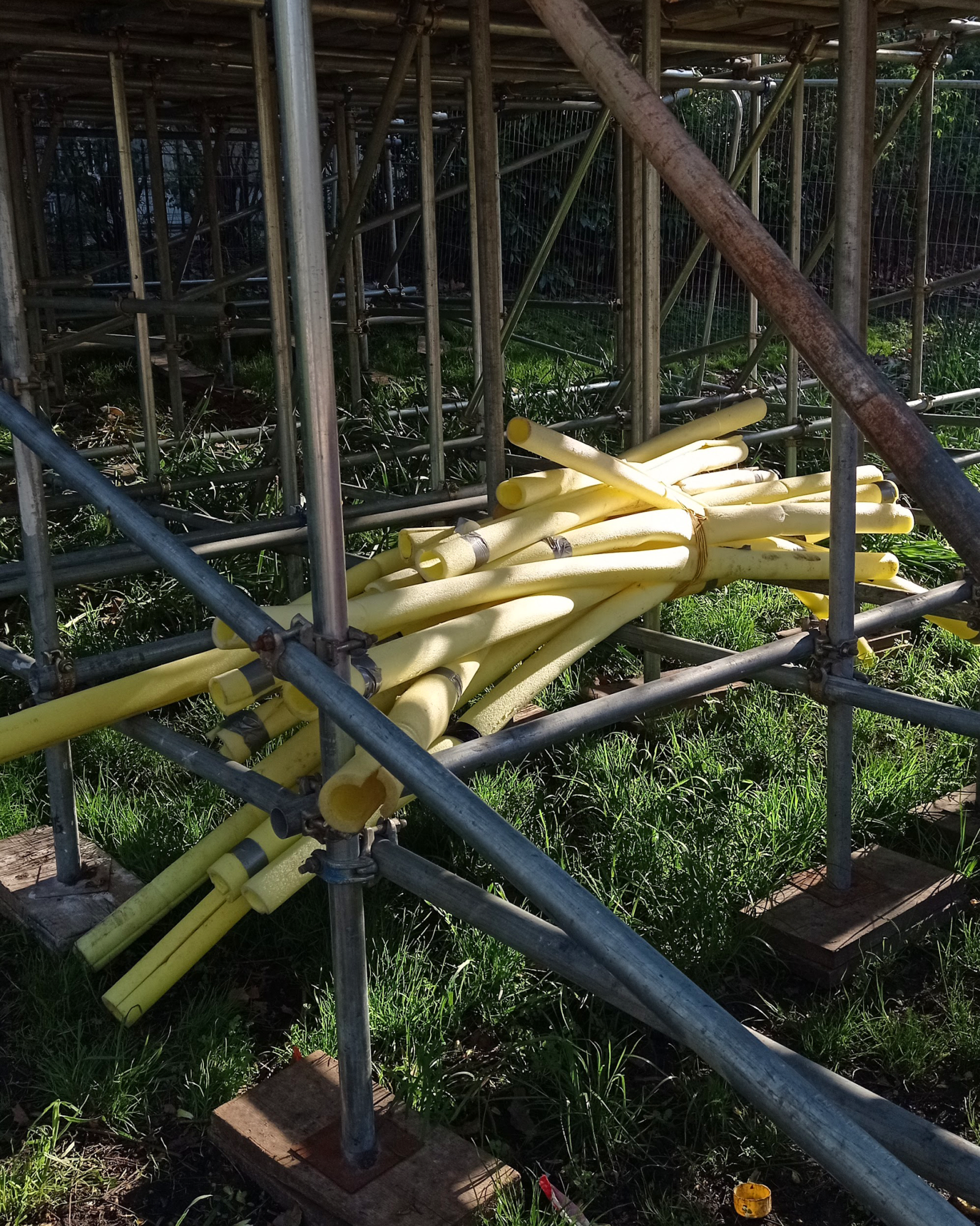 french fries - a pack of long yellow foam tubes was left on the scafolding tubes. They are not in contact with the floor. - yellow foam tube, scafolding, wood, grass, divine sun ray - paul lahana