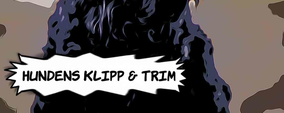 Banner of Hundens Klipp &Trim i Arvika 