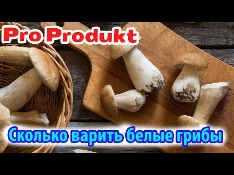 Рабочие моменты