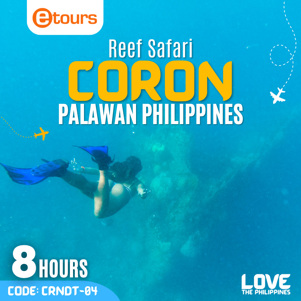 Women snorkeling over the coral reef and a historic shipwreck in Coron, Palawan. 