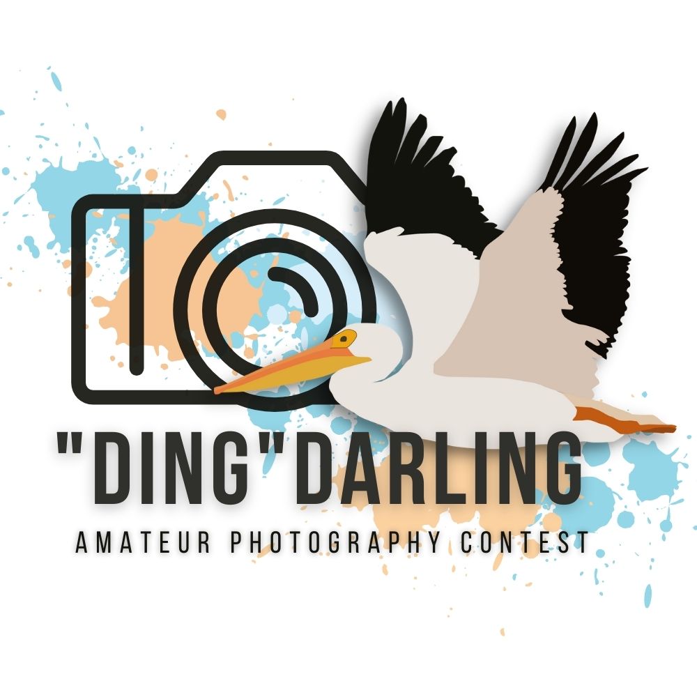 Ding/
