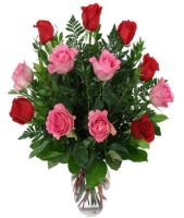 12 PINK AND RED ROSES VASE INCLUDED