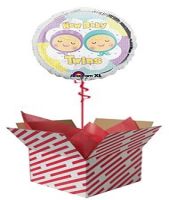 New Baby Twins Balloon Gift