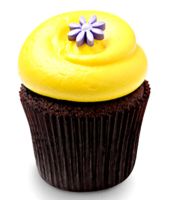 Sunshine Chocolate Cupcakes 6