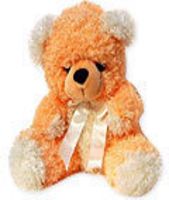 Orange Teddy Bear