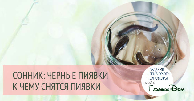 к чему снятся пиявки