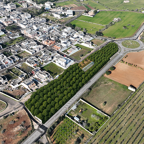 RIVOLUZIONE VERDE NELLA CITTA’ DI GUISNES