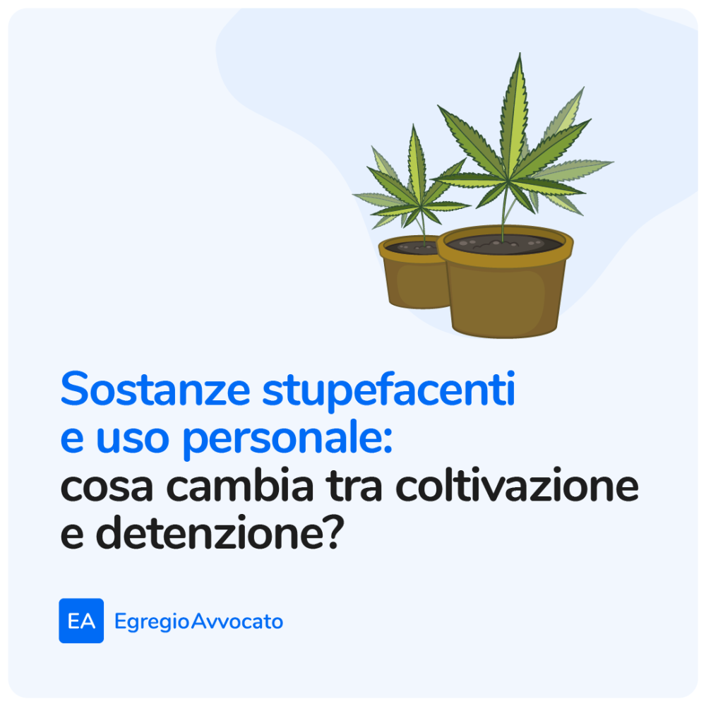 Sostanze stupefacenti e uso personale: cosa cambia tra coltivazione e detenzione? | Egregio Avvocato