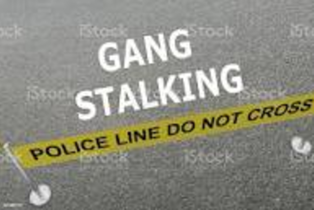 Introduzione al Gang Stalking Organizzato | Egregio Avvocato