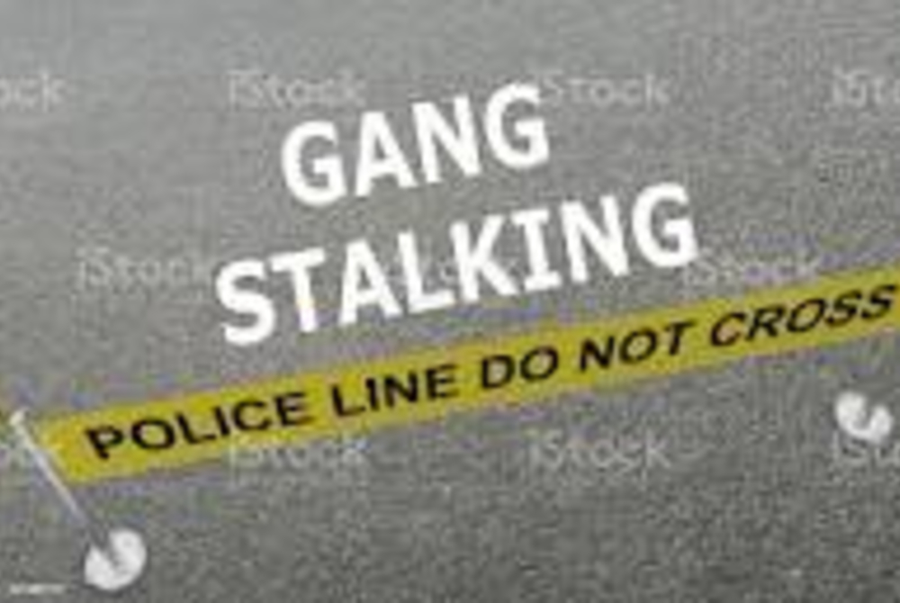 Introduzione al Gang Stalking Organizzato | Egregio Avvocato