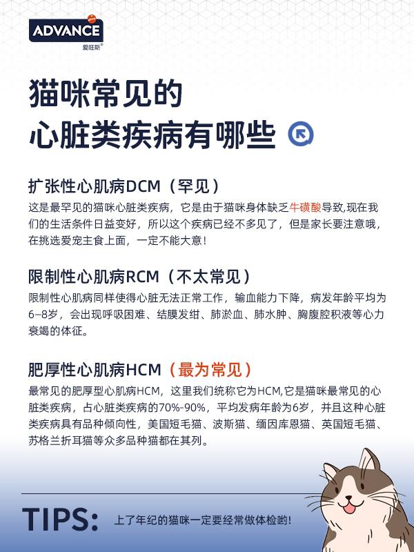 猫咪心脏病, 体检急救, 疾病征兆