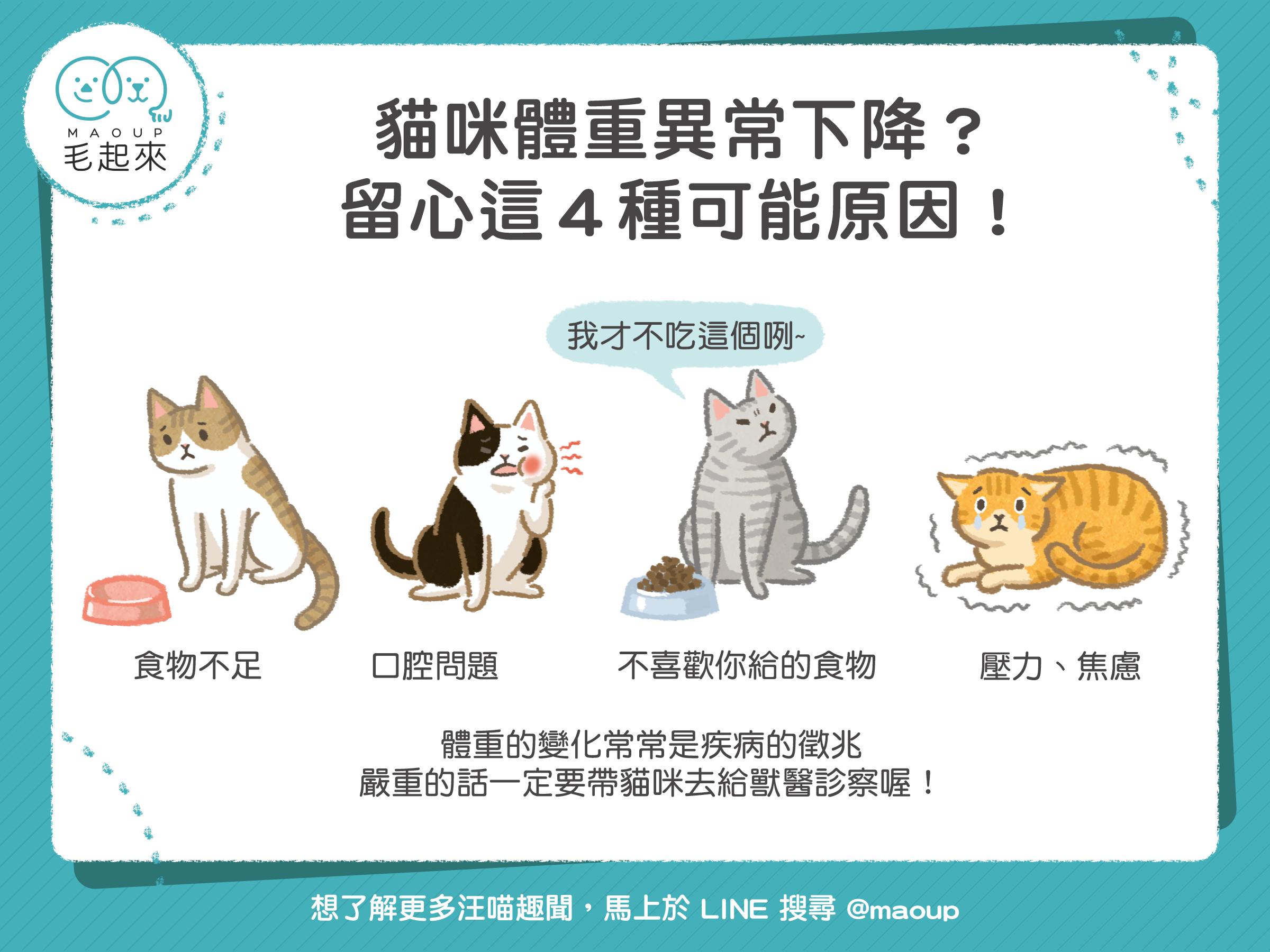 猫咪饮食, 猫咪健康, 体重异常