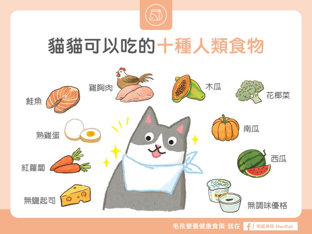 猫咪饮食, 健康警示, 零食控制