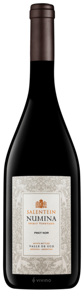Vinho Salentein Numina Pinot Noir 750ml