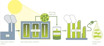 20121112_58769_443x198_308514_82734