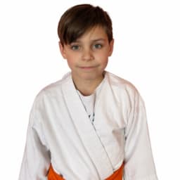 Гаврик Устим