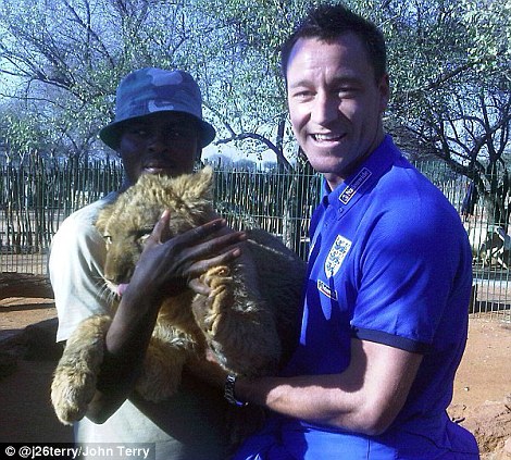 Pride of Lions: Terry befriends a Big Cat on holidayimg src=