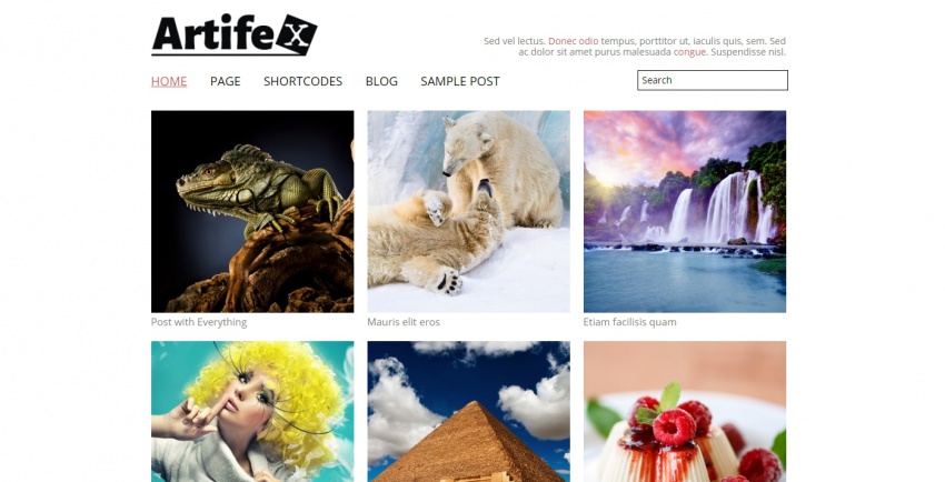 Wordpress шаблоны: 30 Wordpress шаблонов портфолио фотографа