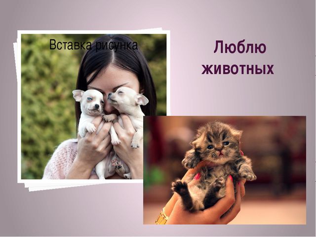 Люблю животных