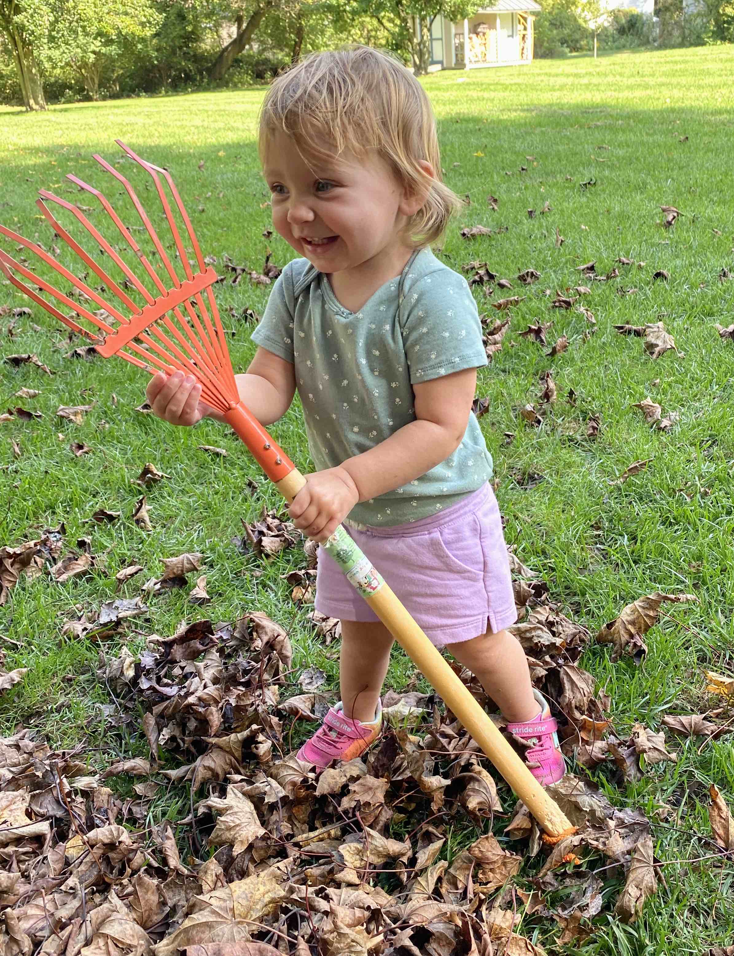 18 month old helping rack the leaves
