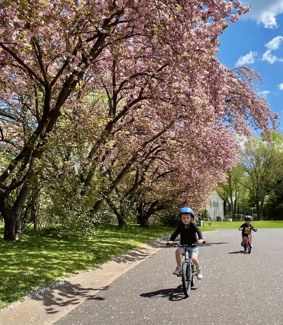 14 Ways to Motivate Kids to Ride a Bike