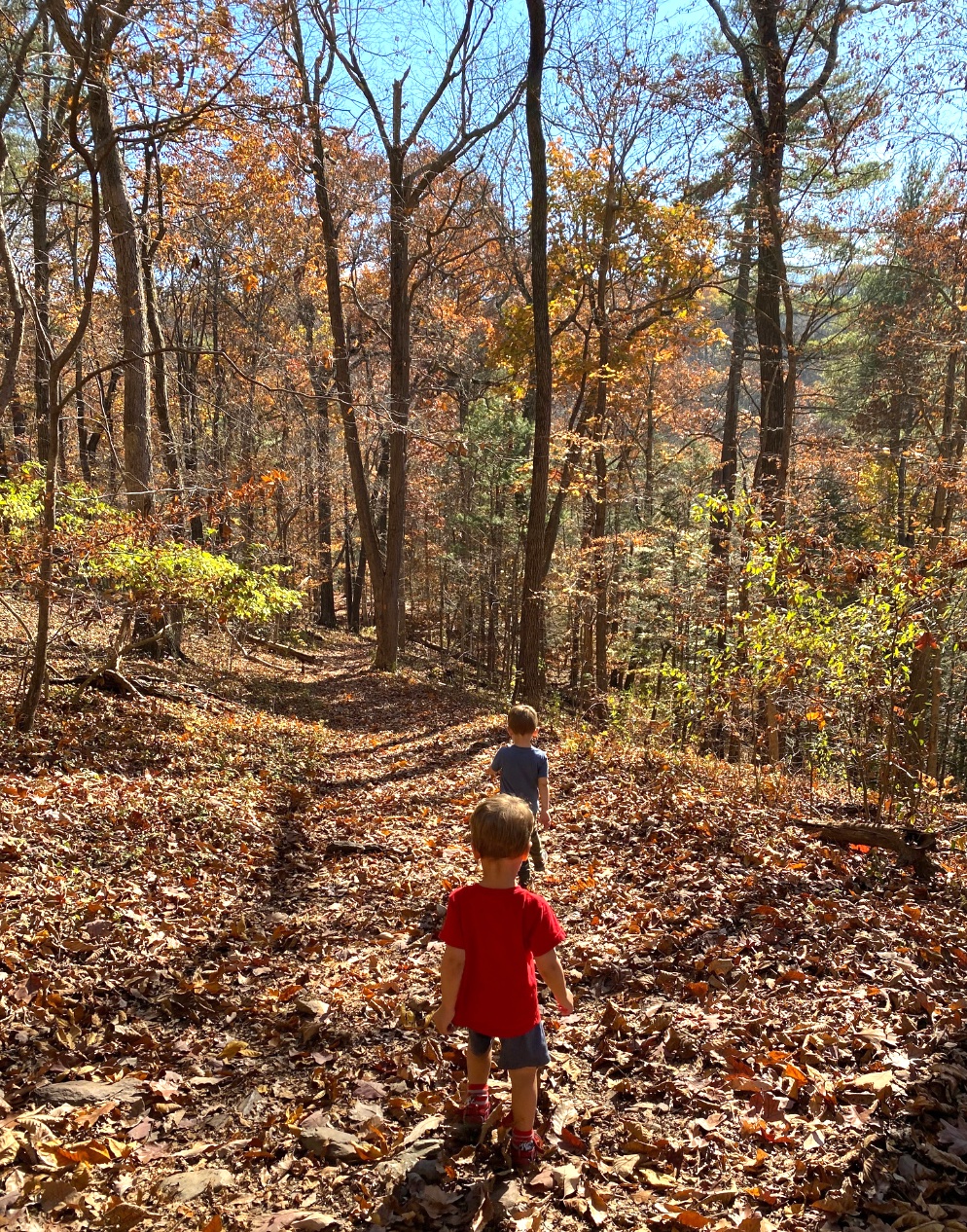favorite fall hikes in bucks county for families picture of high rocks