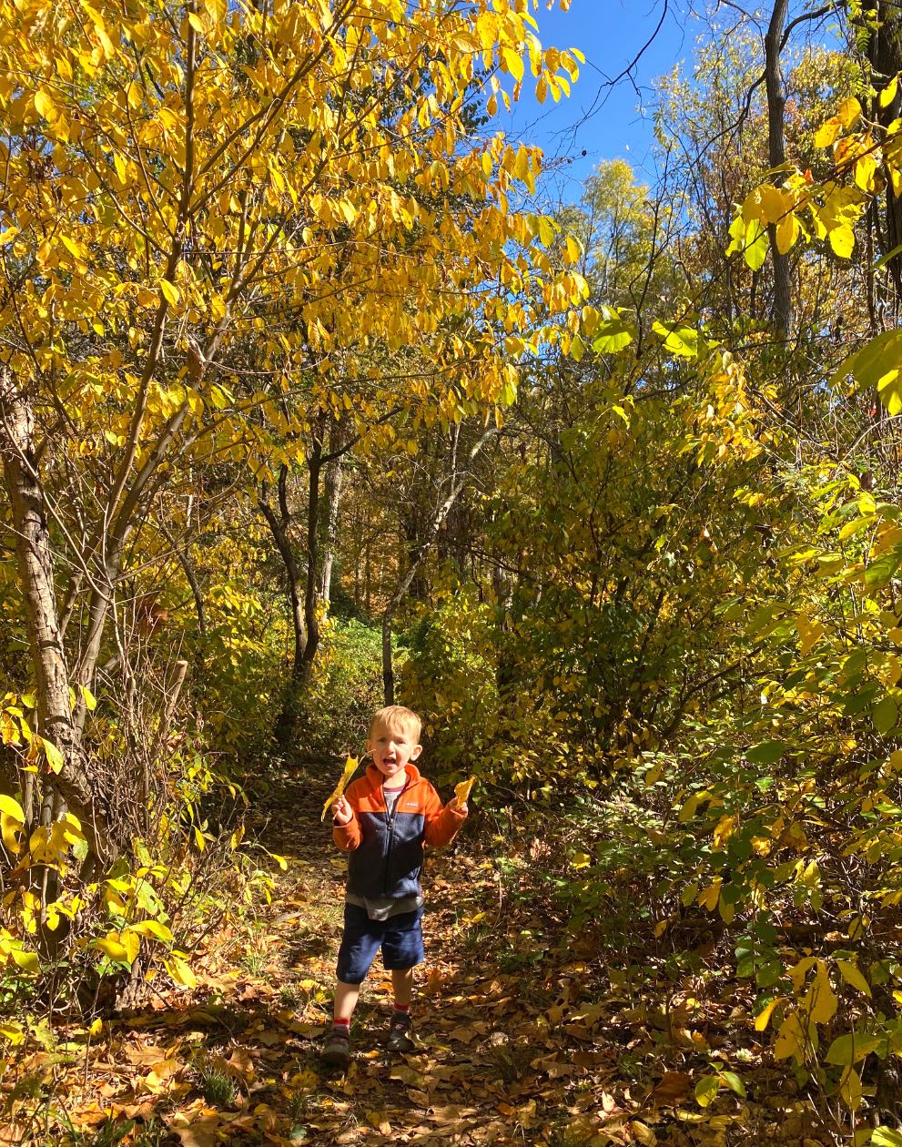 bucks county fall foilage is great for fall hikes