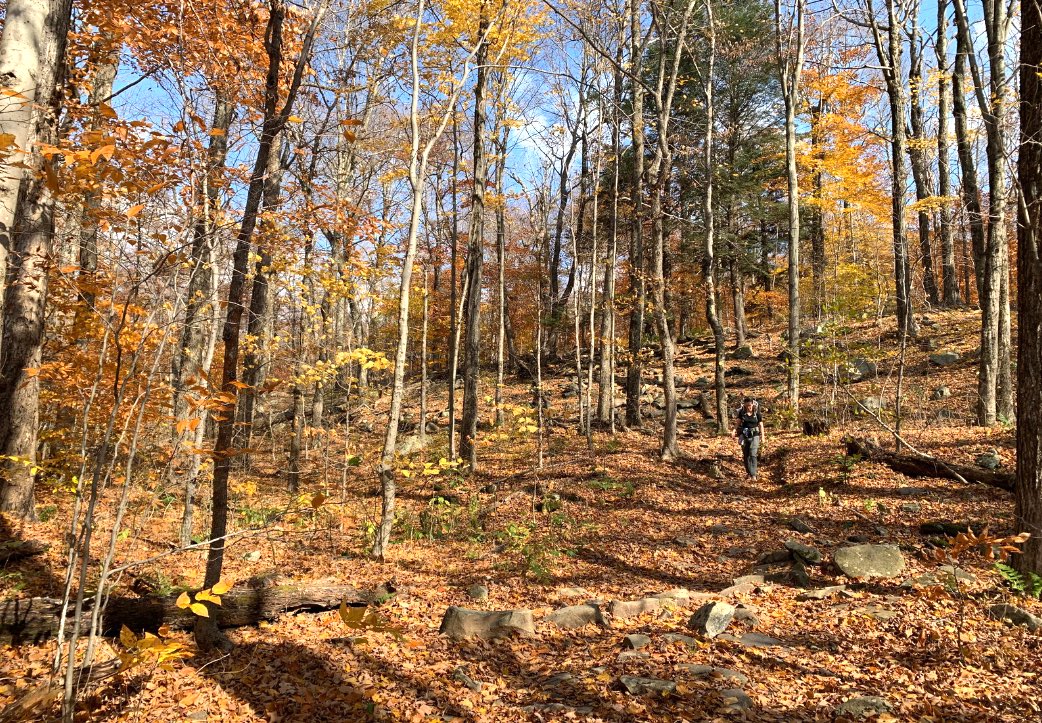 hiking in bucks county in the fall season