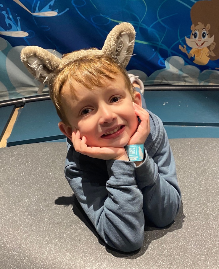 Great wolf Lodge ears