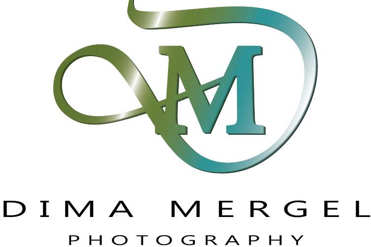 Dima Mergel Photography - Hochzeitsfotos in Bielefeld