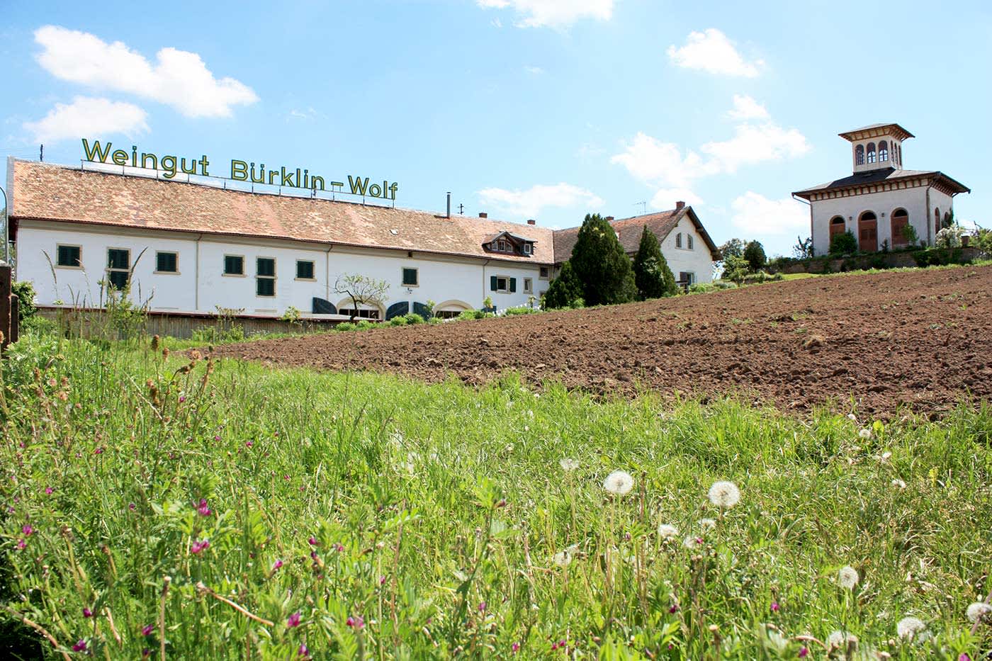 Hofgut Ruppertsberg / Weingut Bürklin-Wolf - Hochzeitslocations in Ruppertsberg