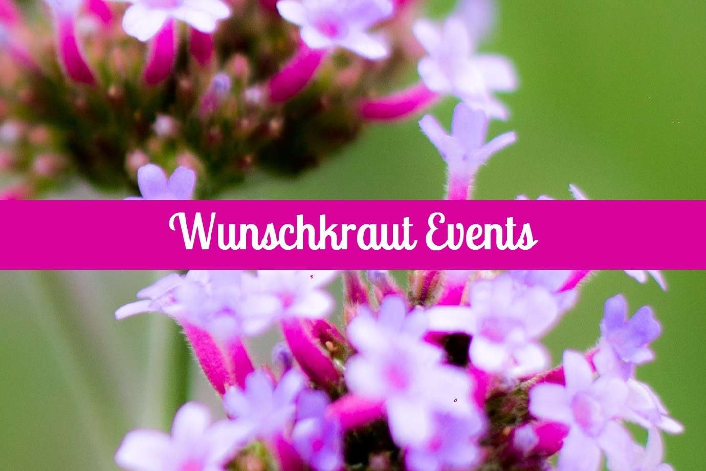 Wunschkraut Events - Wedding Planer in Brunn am Gebirge