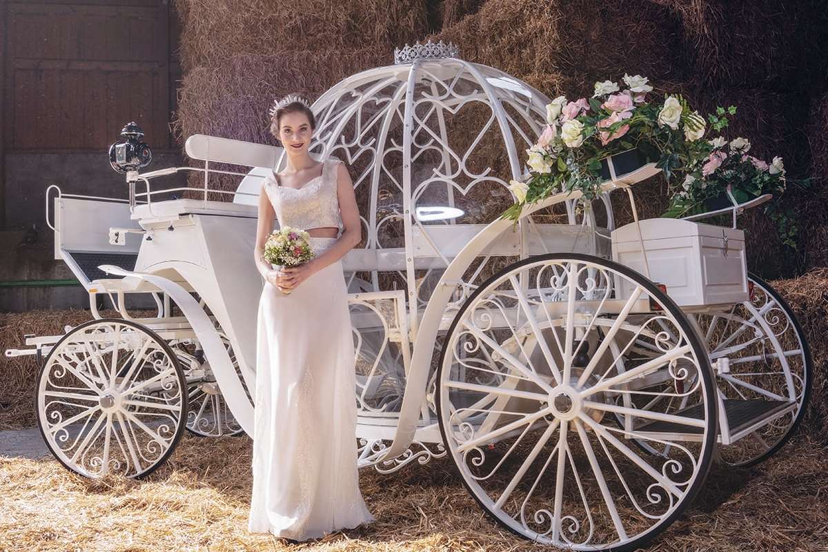 Hochzeitspferde - Wedding horses - Hochzeitsautos in Hamm