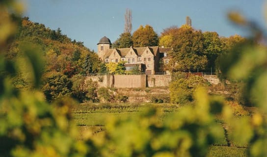 Schloss Kropsburg