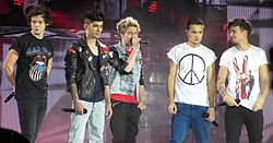 One Direction в 2013 году