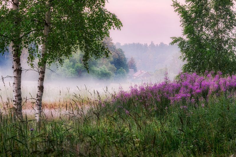 ** фото превью