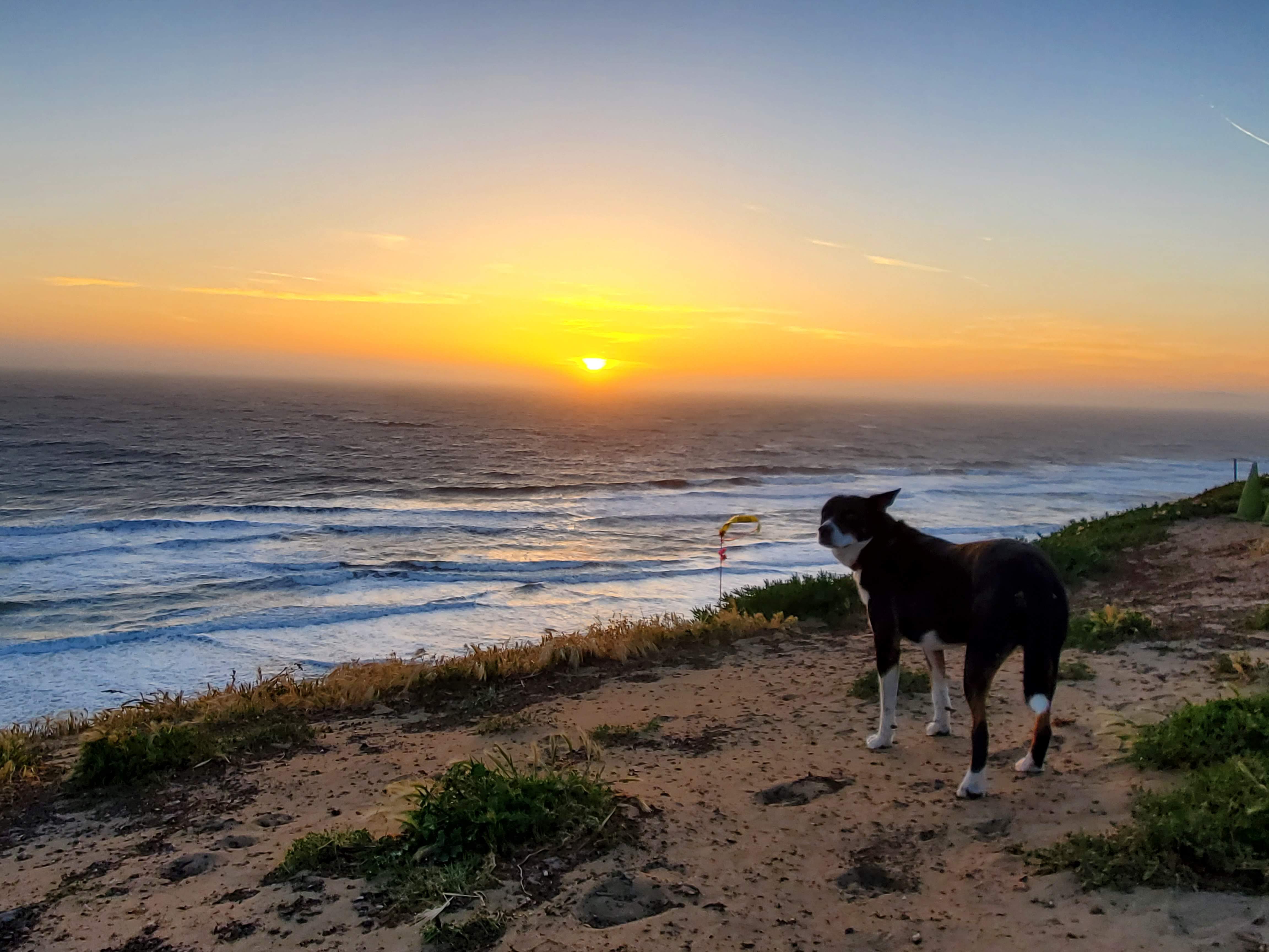 Fort Funston