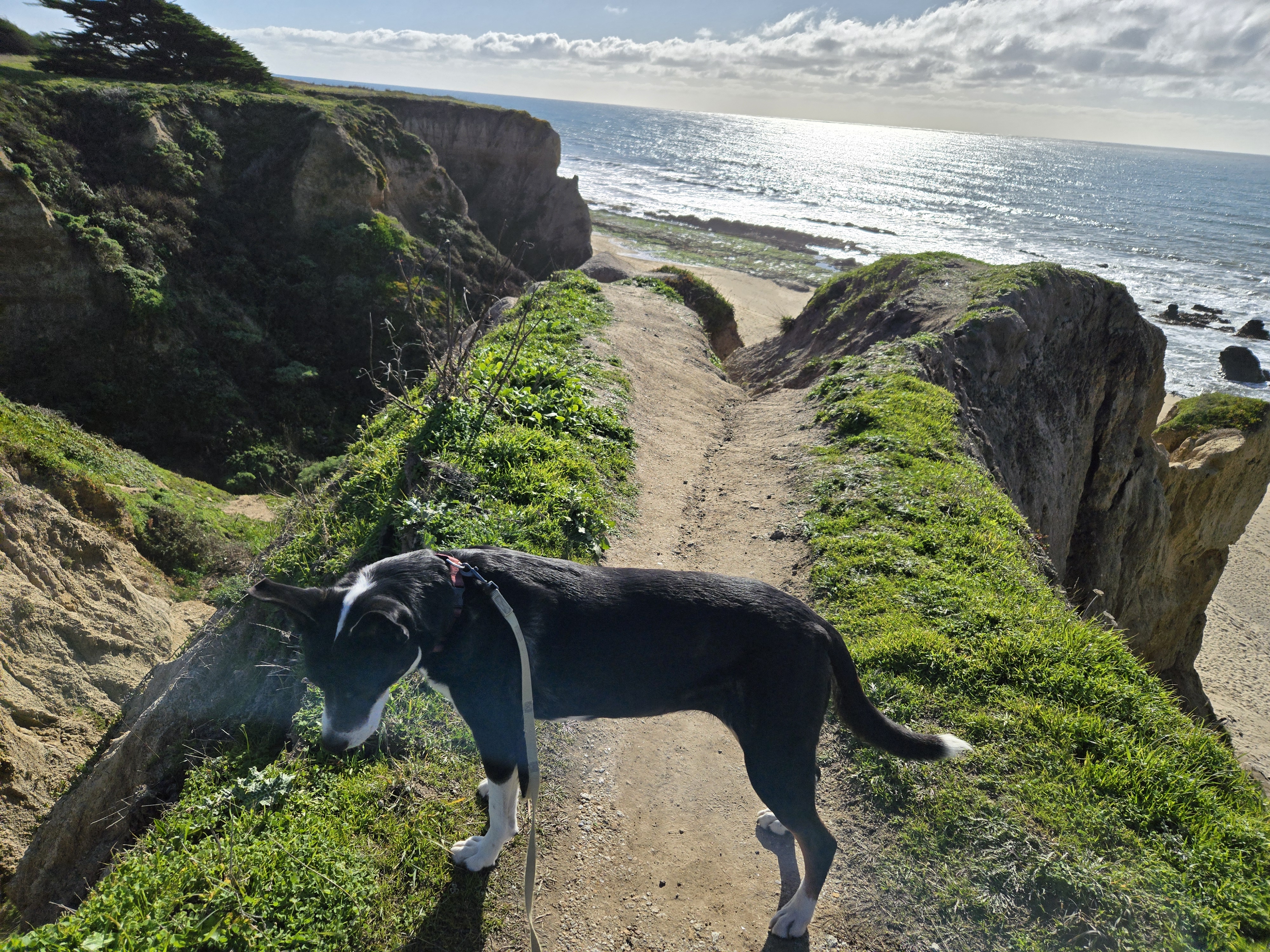 Wavecrest / Redondo Beach