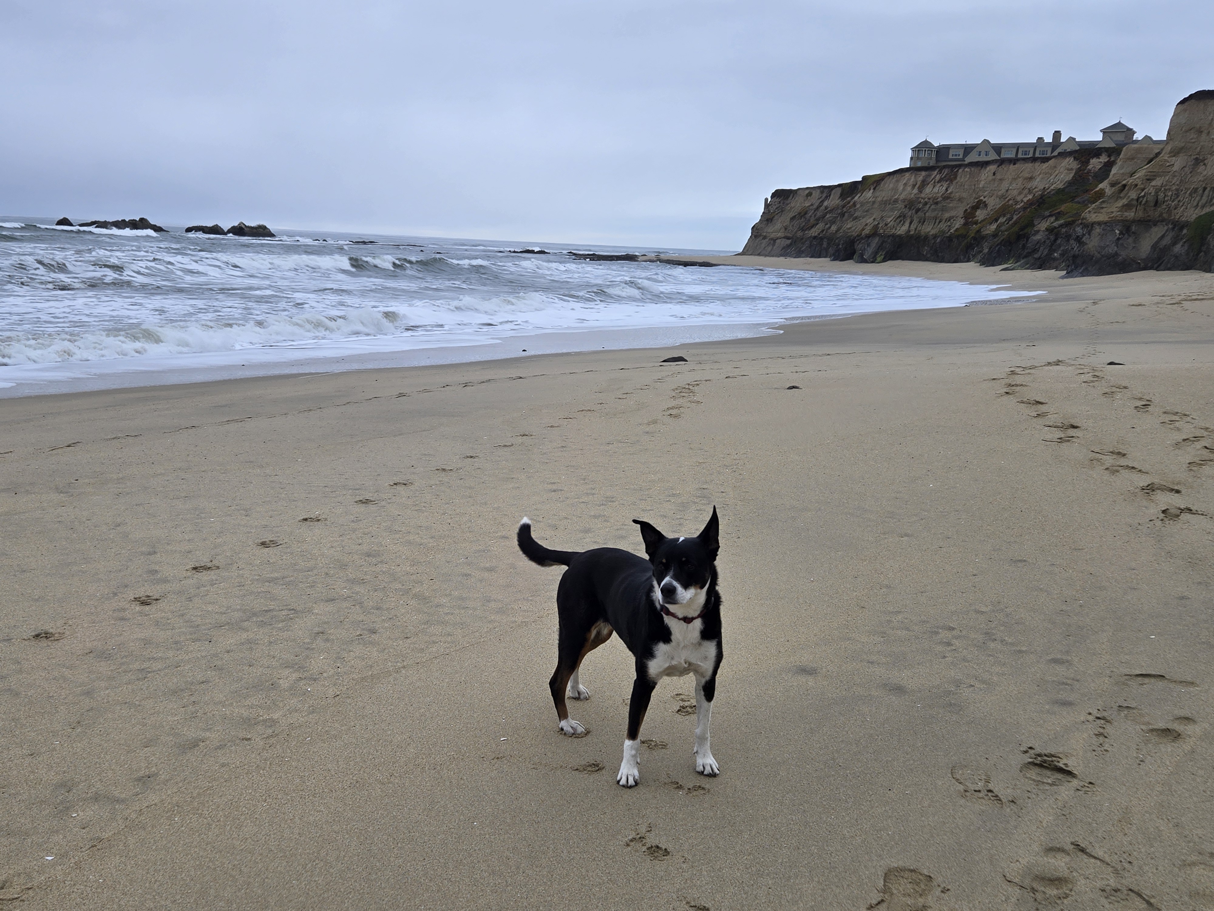 Manhattan Beach