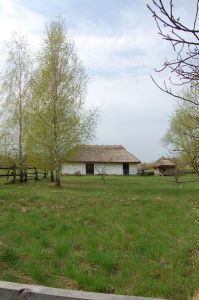 Пирогово, берізки і хатинка. Краса...