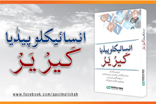 Encyclopedia Career