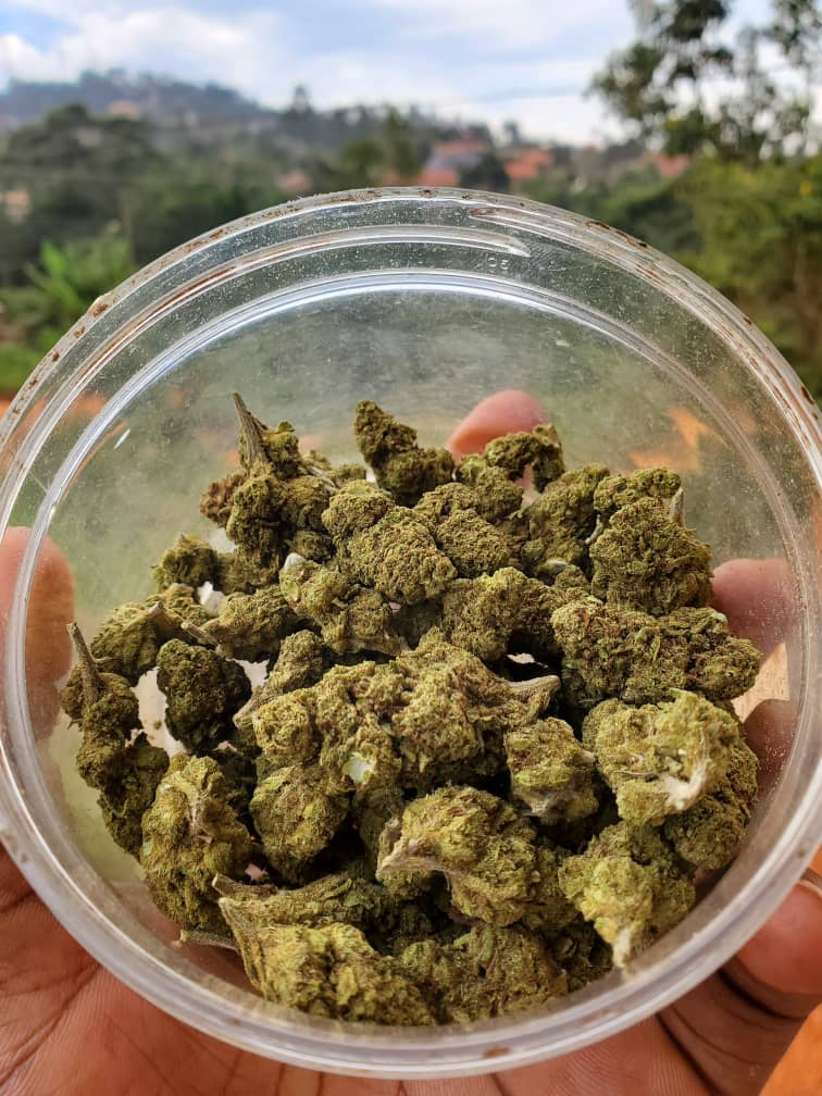 Are you wondering where to get weed or marijuana or cannabis in Kampala? or even in Entebbe?