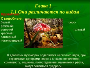 Любите и цените счастье, оно рождается в семье