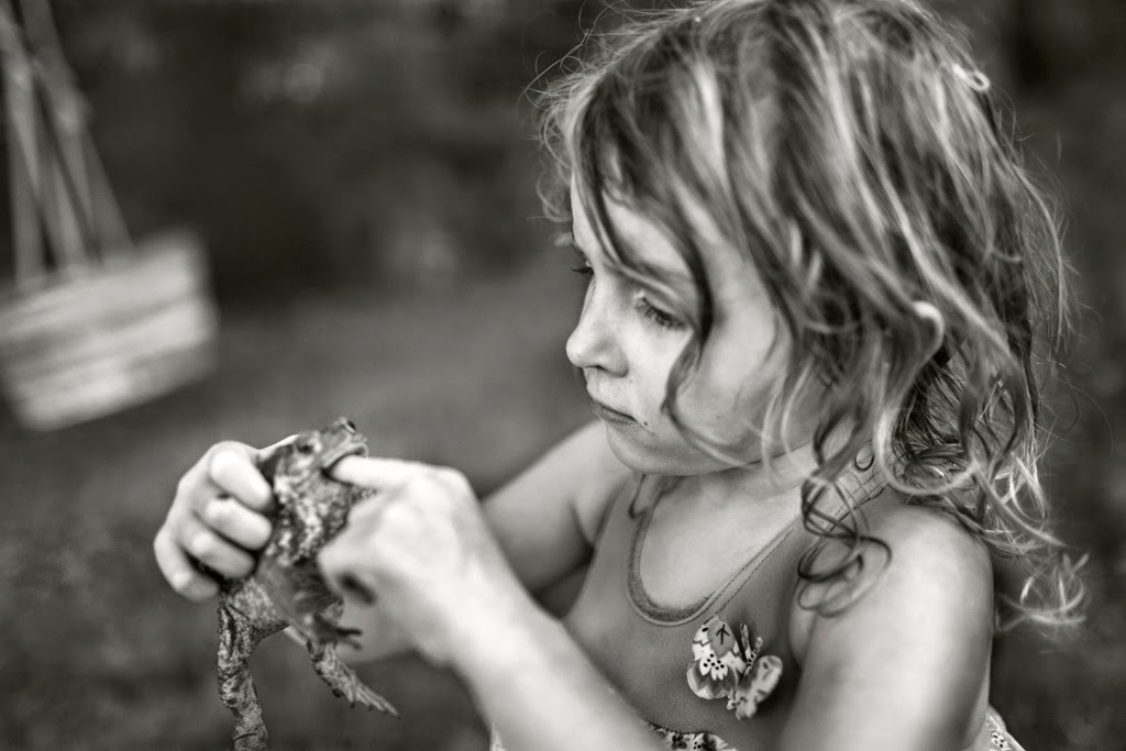 Alain Laboile