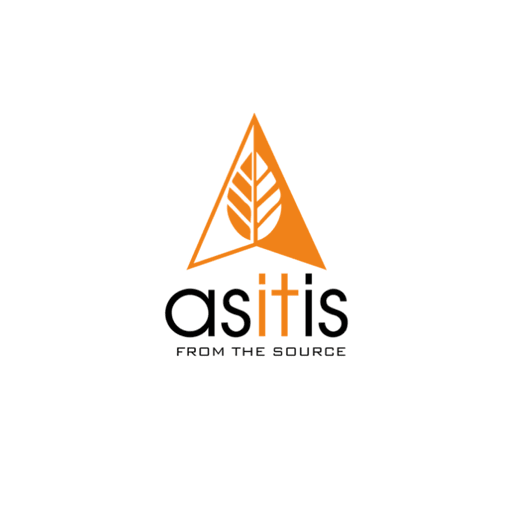 AS-IT-IS logo