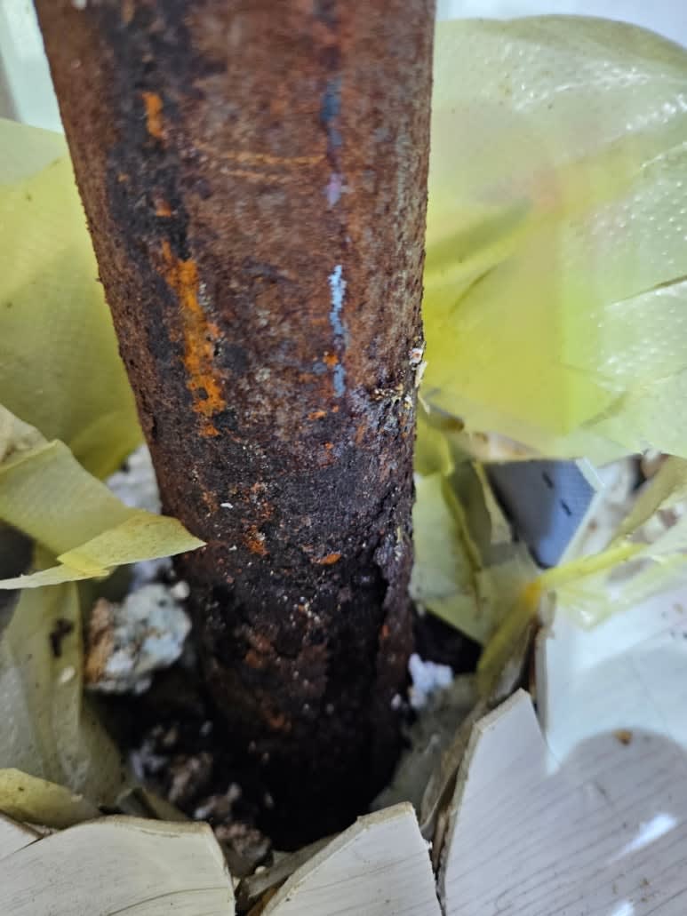 더 누수타파누수탐지