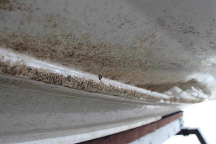 Marine Scaling Build Up on This Hull With No Antifoul - We Recommended A First Antifoul Treatment as She Was Going to be Berthed on a River