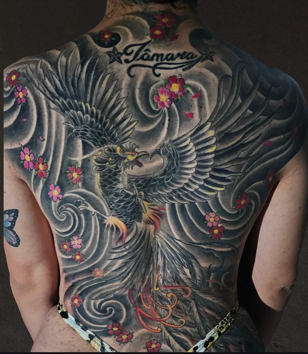 Fenix