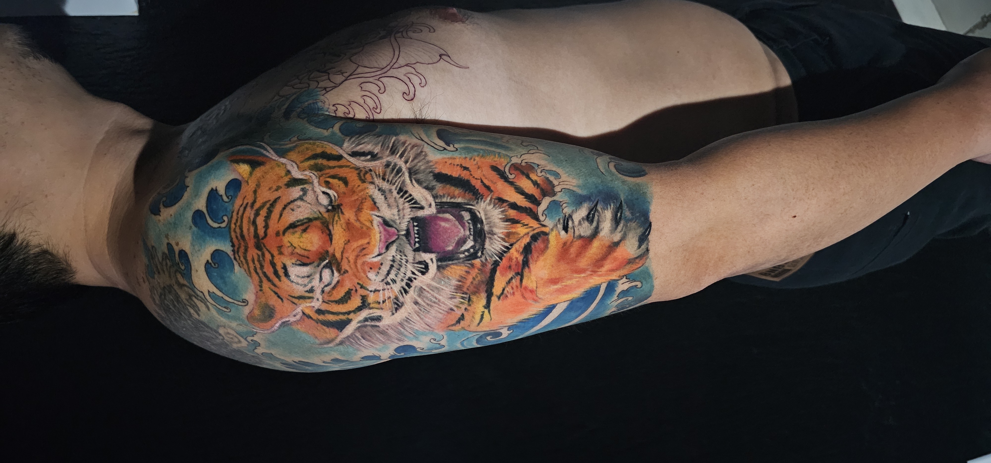 tiger col