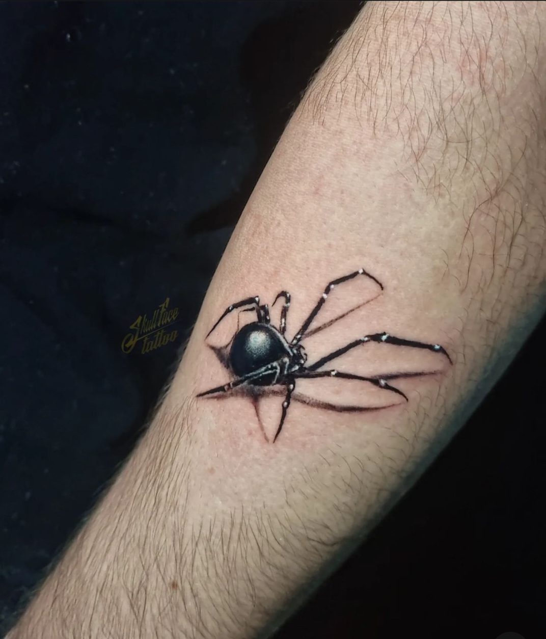 aranha